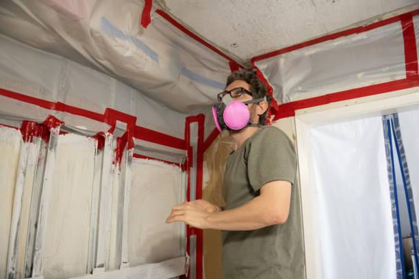 Trusted Corinth, TX Mold Removal Experts